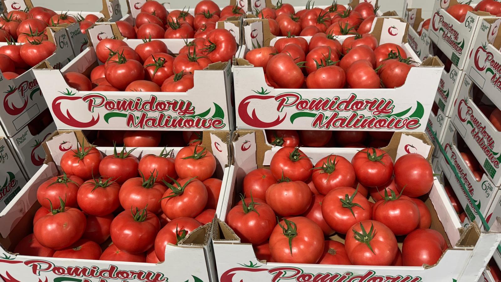Hello! Raspberry Tomato 2B/3B/4B