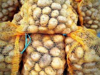 I will sell Denar potatoes from my own cultivation