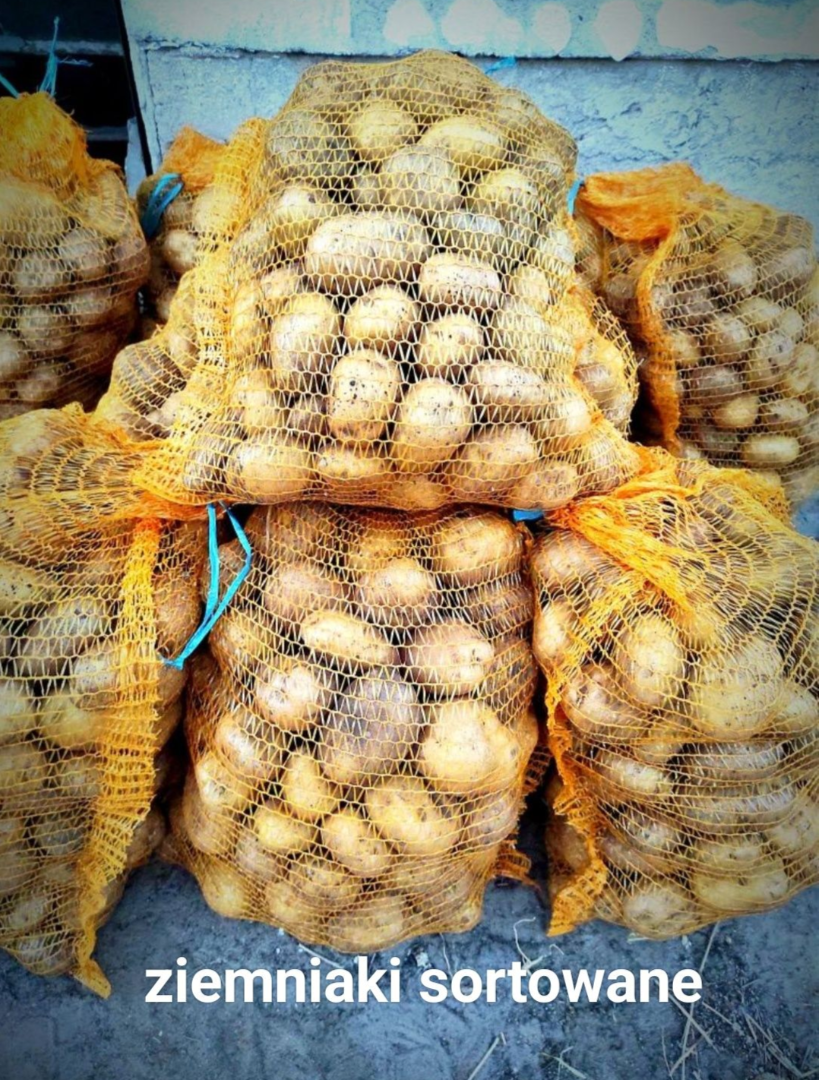 I will sell Denar potatoes from my own cultivation without artificial fertilizers