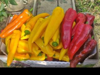 Hello, I am looking for a buyer of long