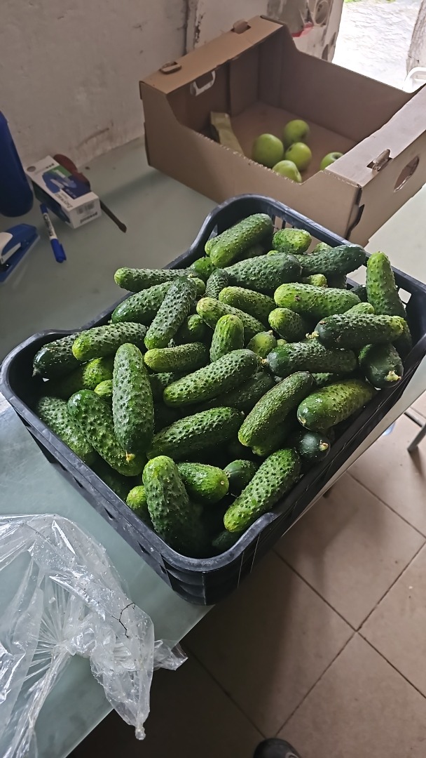 I have a cucumber for sale, wrapped in plastic, straight from a local farmer