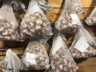 Good morning, I have garlic for sale 7 -