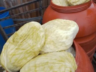 Flat cabbage €0.40/Kg Pickled flat cabbage €0.80/Kg. without barrel.