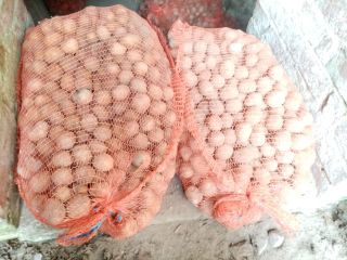 I have potatoes for sale packed in 25 kg