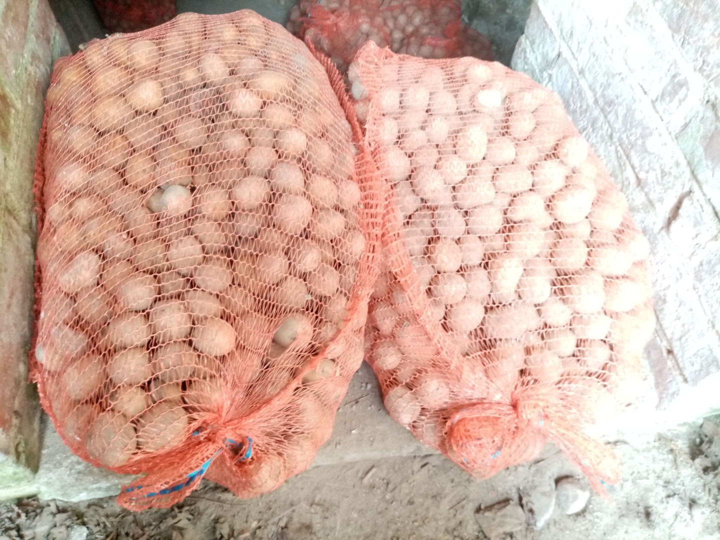 I have potatoes for sale packed in 25 kg bags, Gala variety, please contact me by For more information, please contact me by phone, I invite you to purchase