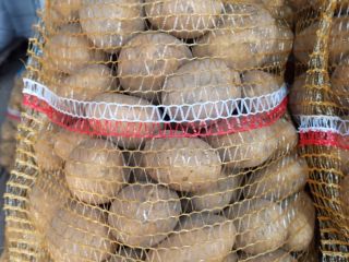 I have Lord variety edible potatoes for sale. For
