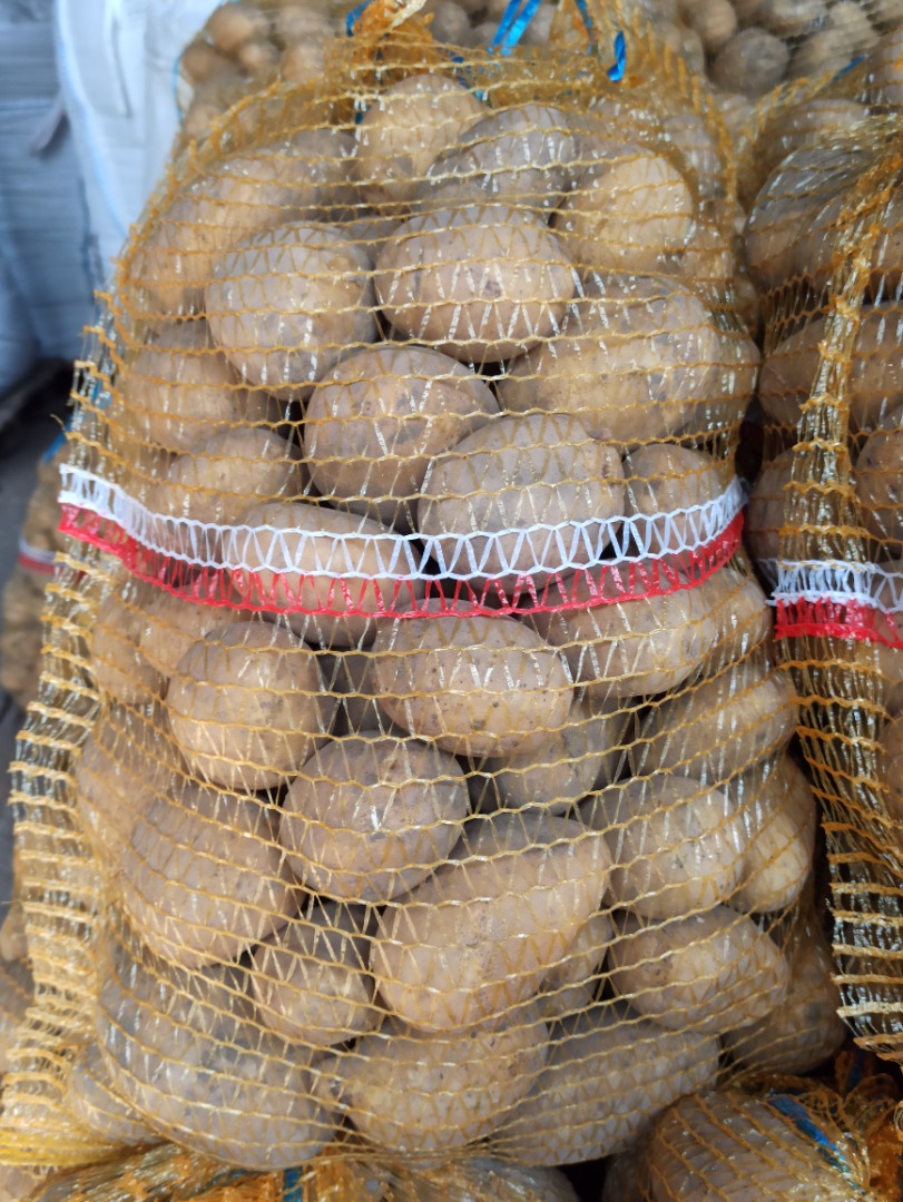 I have Lord variety edible potatoes for sale