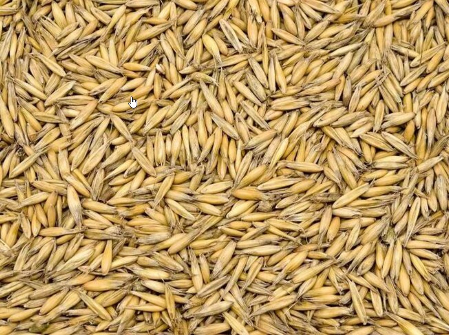 I am selling organic oats