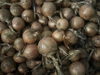 I will sell onions in various packages and different