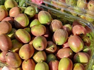 Weiki mini kiwi fruit for sale