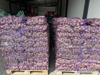 I will sell potatoes of the Queen Anna, Denar