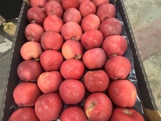Red Delicious caliber 70+, cardboard packaging for the whole