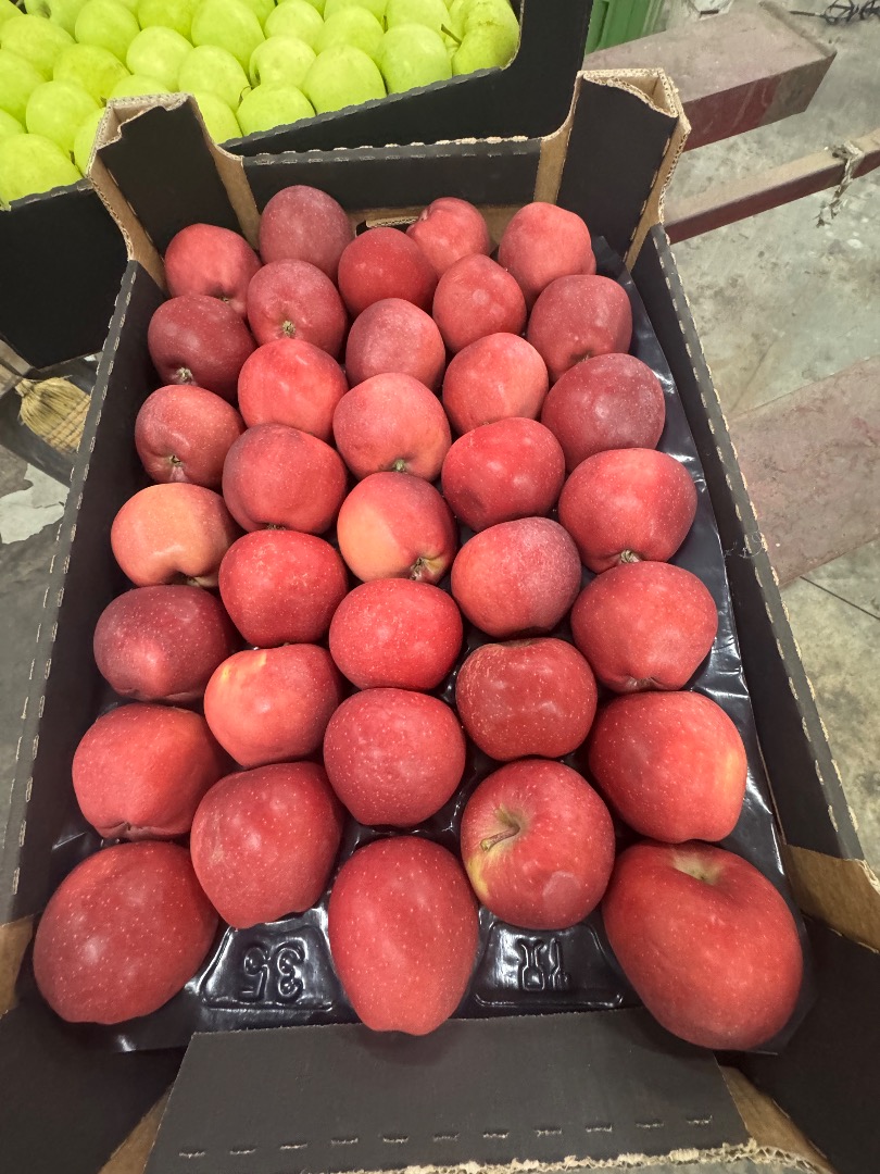 Red Delicious caliber 70+, cardboard packaging for the whole of Europe