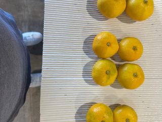 Croatia mandarins Dolina Neretve