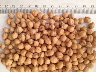 Chickpea, produced in Hungary. Conventional. Directly from growers.
