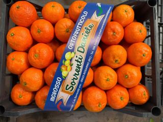 DMD Fruit Srl is a family-run business based in