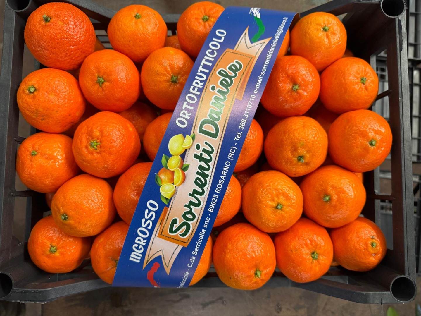 DMD Fruit Srl is a family-run business based in Rosarno (Calabria), specializing in the production and wholesale of clementines and oranges for over 50 years