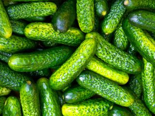 we need gherkin (3-6cm) 20 tons or more, for