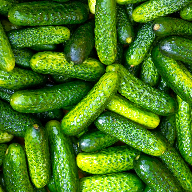 we need gherkin (3-6cm) 20 tons or more, for export to Serbia