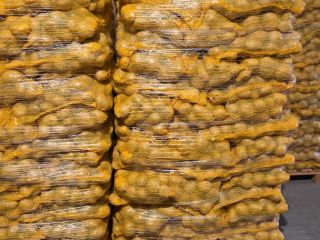 Hello, I have FITO potatoes for sale. I offer