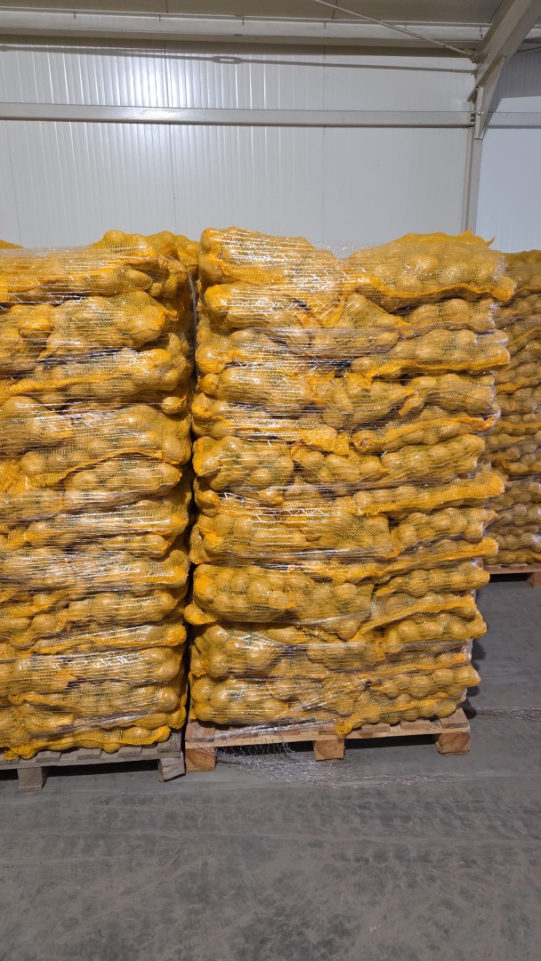 Hello, I have FITO potatoes for sale