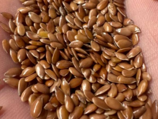 I will sell brown flax 200 tons..quality 99.9 FCA$