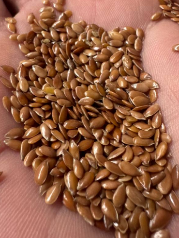 I will sell brown flax 200 tons..quality 99.9 FCA$ Photo, sample, location upon request