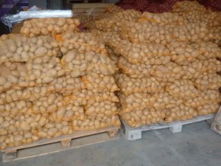 I'm selling Queen Anna ware potatoes from this year's