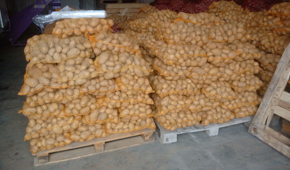 I'm selling Queen Anna ware potatoes from this year's harvest