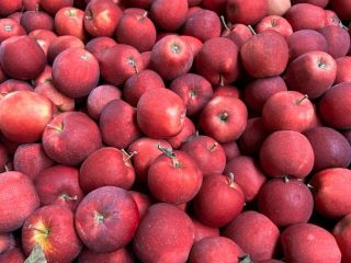 We are trusted suppliers of fresh fruits and vegetables