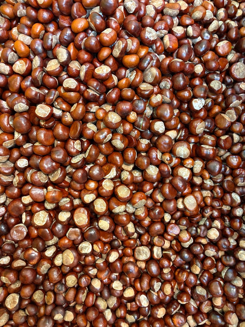 I will sell a large quantity of chestnuts with collection from Ruda Śląska