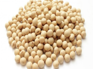 June 19 export company sell Soybean, dried ginger, hibiscus