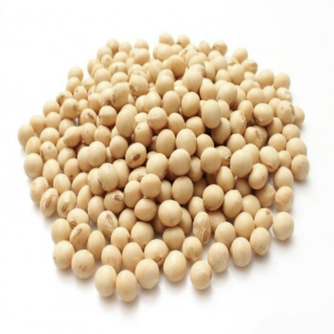 June 19 export company sell Soybean, dried ginger, hibiscus flower, sesame seed, cashew nut, and ground nut at competitive prices