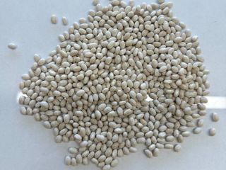 A Ukrainian company offers white beans, Navy Beans. Size: