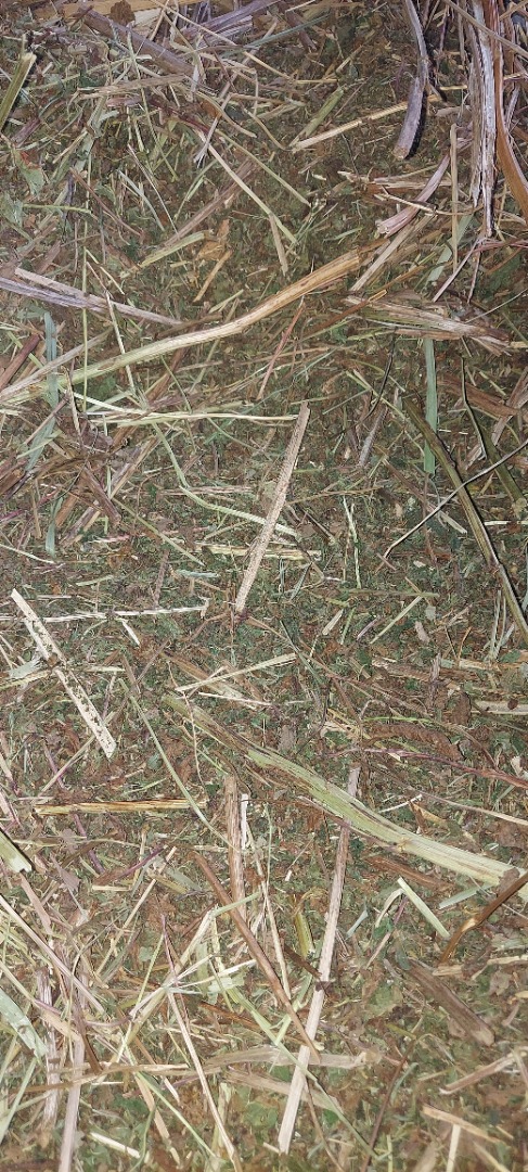 I have 2-3 tons of meadowsweet for sale