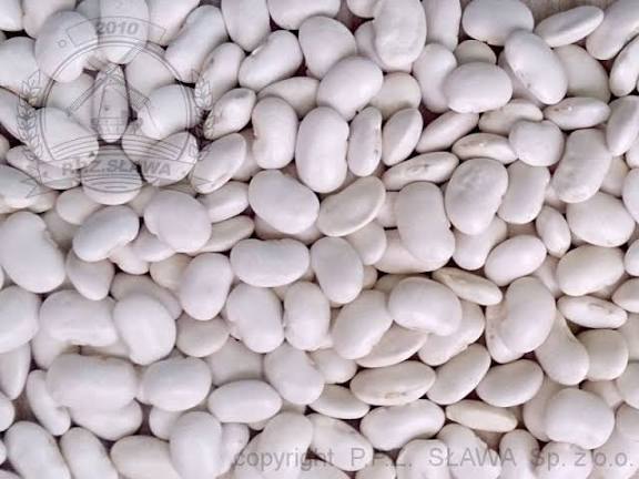 I will sell dwarf beans, harvest 2025