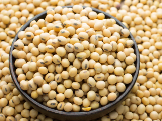 ‎Non-Gmo Soybeans Fit for Human Consumption Purity 98% Dimension