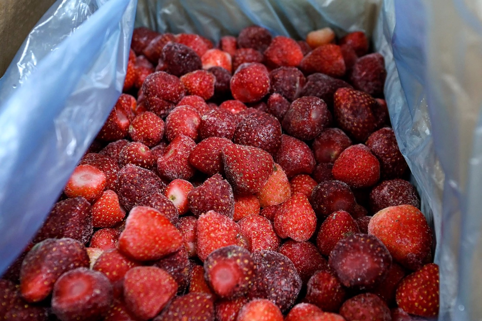 Jesteśmy firmą zajmującą się zbiorem, przetwórstwem i sprzedażą owoców leśnych i uprawnych, grzybów oraz aromatycznych ziół leczniczych