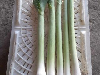 Hello, I am selling a nice long leek, per