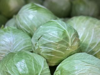 White Cabbage: Flexton, Ramco, Novoton, Ambrosia. Caliber 3+ Packaging: