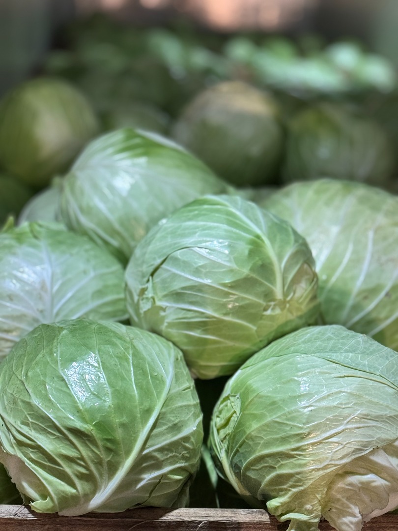 White Cabbage: Flexton, Ramco, Novoton, Ambrosia