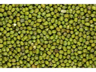 I'm selling mung bean seeds. Contact