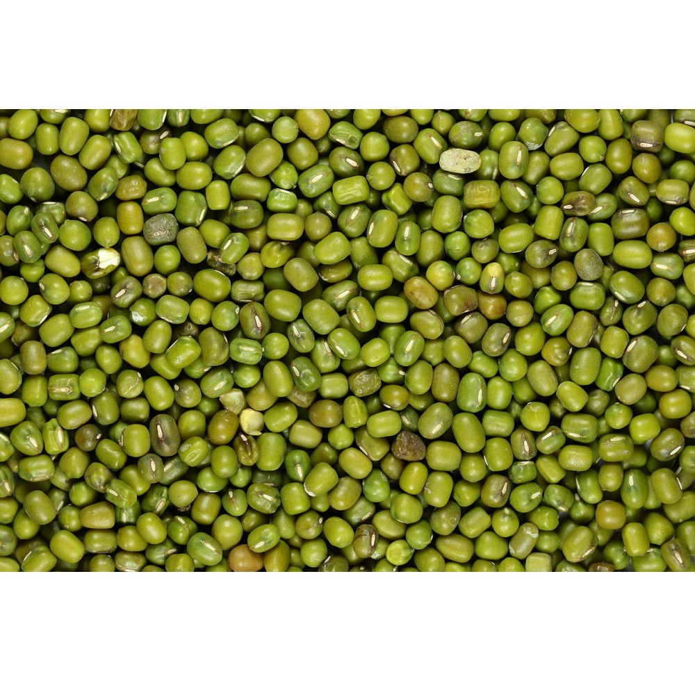 I'm selling mung bean seeds