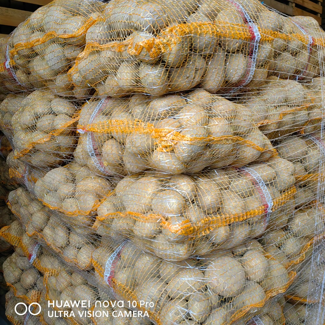 I have 50+ potatoes for sale: Queen Anna, Soraya, Corrina, and Jurek varieties