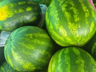 I am selling watermelon 3zk kg. Straight from my