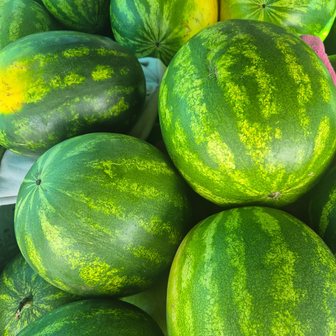 I am selling watermelon 3zk kg
