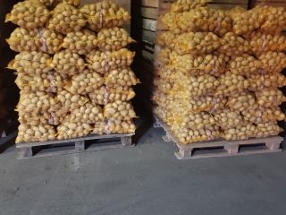 I'm selling potatoes, the Gala and Denar varieties, very