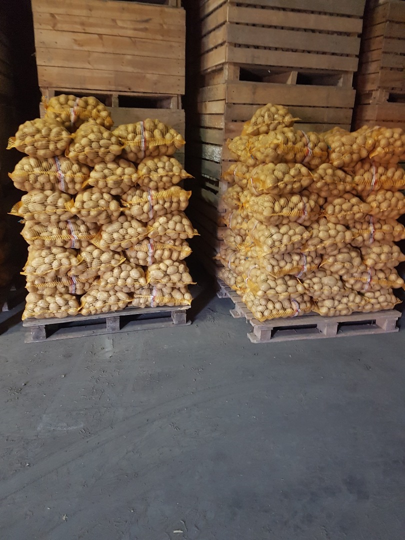 I'm selling potatoes, the Gala and Denar varieties, very tasty, thick, 50+ grains