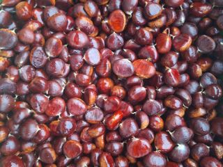 Chestnuts for sale