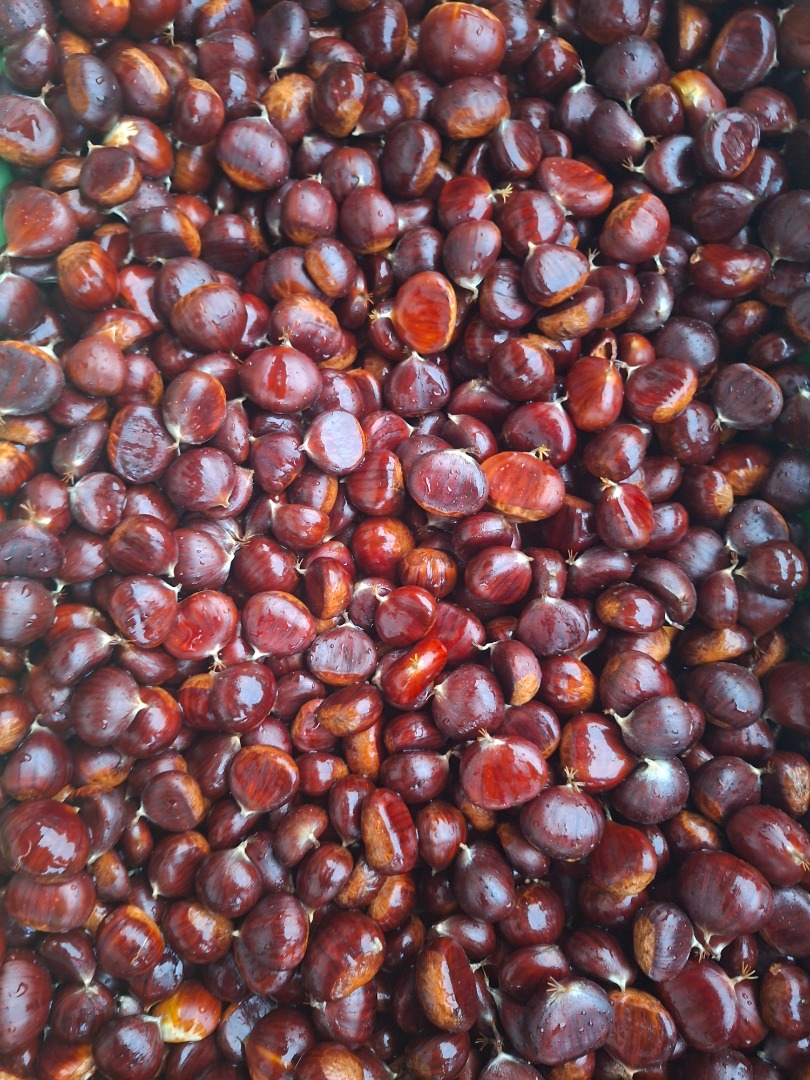 Chestnuts for sale